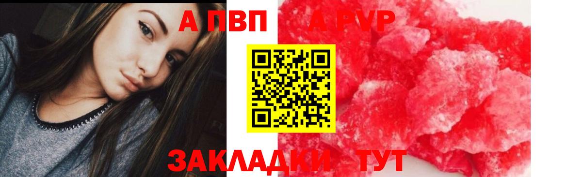 Псилоцибиновые грибы Волжск