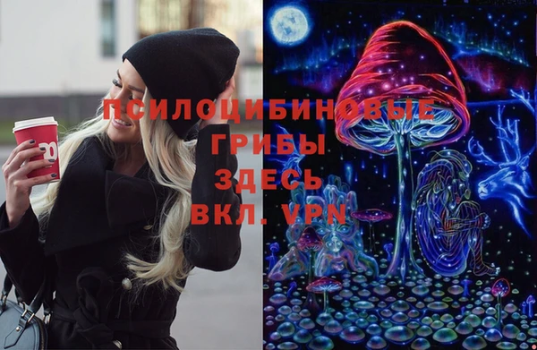 мдпв Нягань