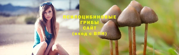 MDMA Premium VHQ Вязники