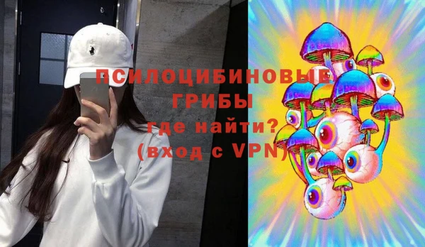 ALPHA PVP Няндома