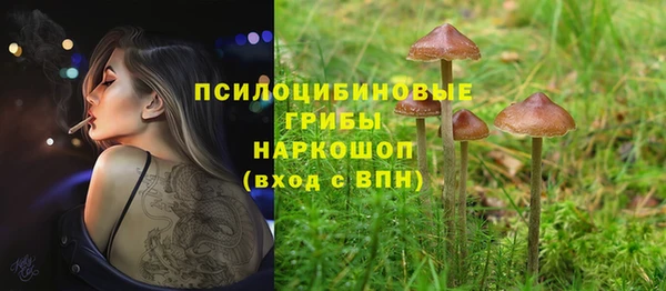 мдпв Нягань
