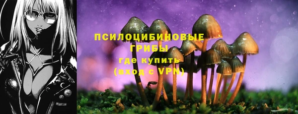 ALPHA PVP Няндома