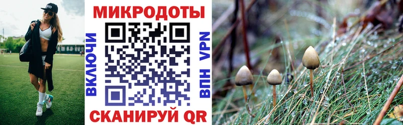 Галлюциногенные грибы ЛСД  где можно купить   Волжск 