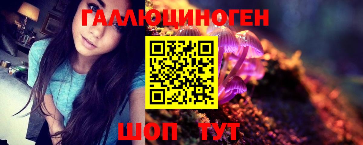 Галлюциногенные грибы GOLDEN TEACHER Волжск