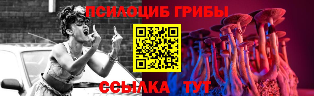 Волжск  Галлюциногенные грибы GOLDEN TEACHER  даркнет сайт  Вход с VPN 